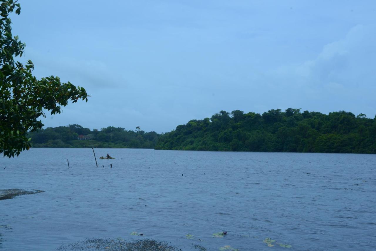 Gold Sand Resort Bentota Exterior foto